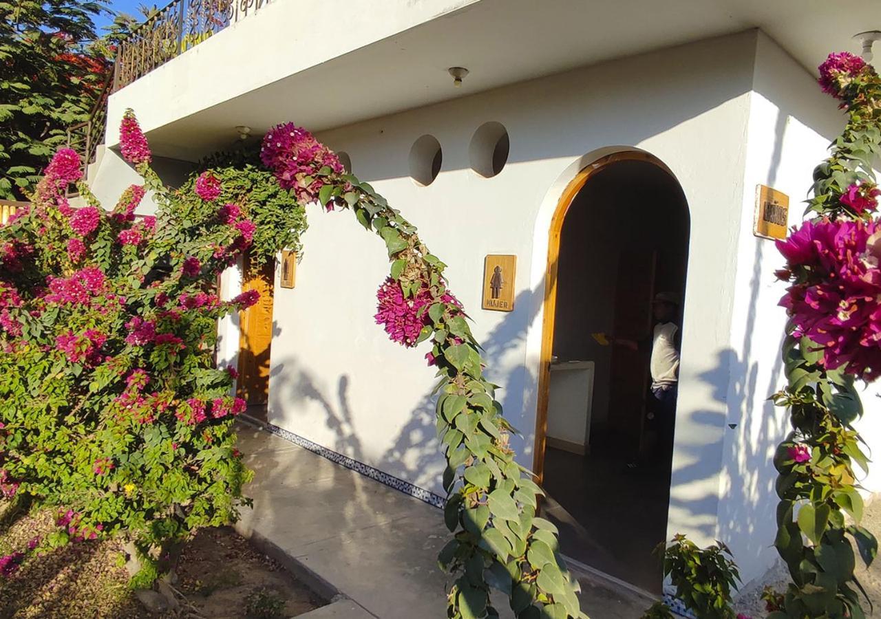 Nazca Lodge Exteriér fotografie